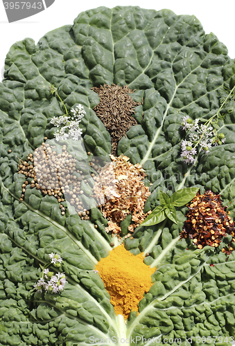 Image of Spice mixture on the cabbage sheet 