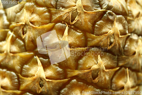 Image of Texture of ripe pineapple peel