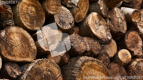 Image of Dry firewood in a pile for furnace kindling