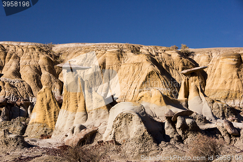 Image of Ah-Shi-Sle-Pah Wilderness Study Area, New Mexico, USA