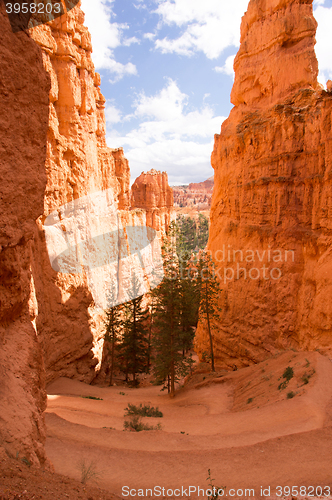 Image of Bryce Canyon, Utah, USA