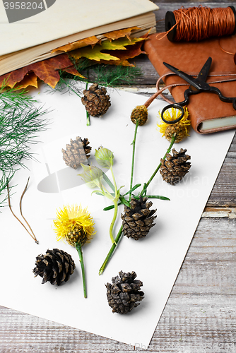 Image of Herbarium of plants