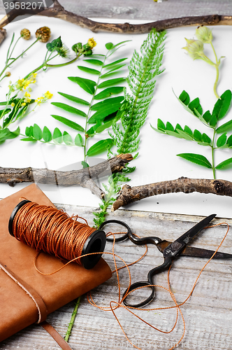 Image of Herbarium of plants