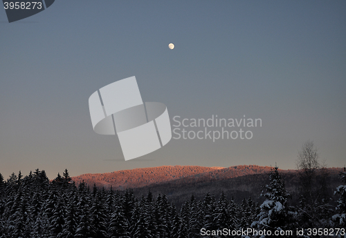 Image of Moonrise in winter scenery