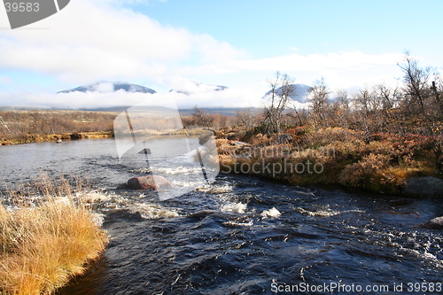 Image of Autumn mood