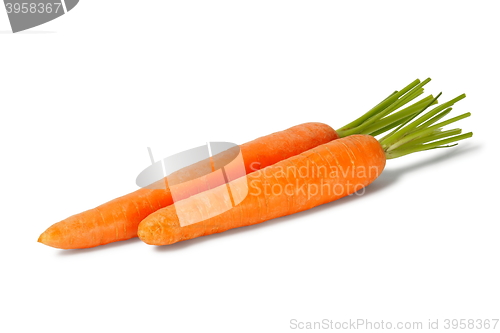 Image of Two carrots on white