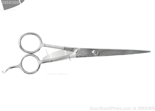 Image of Barber scissors