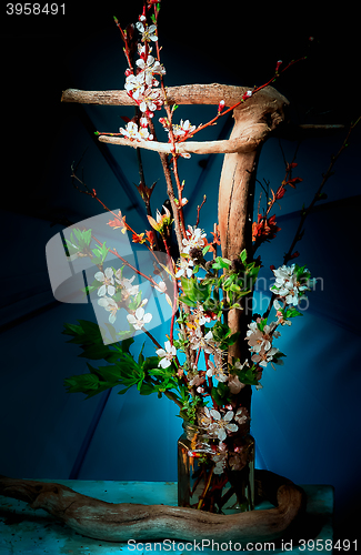 Image of Ikebana on a blue background