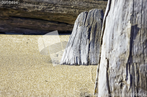 Image of Abstract background with wood and sand