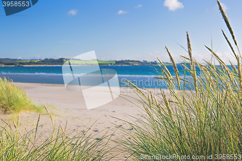 Image of Norwegian beach on a sunny day