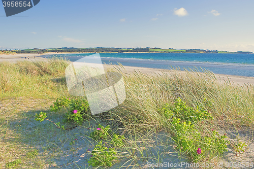 Image of Norwegian beach on a sunny day