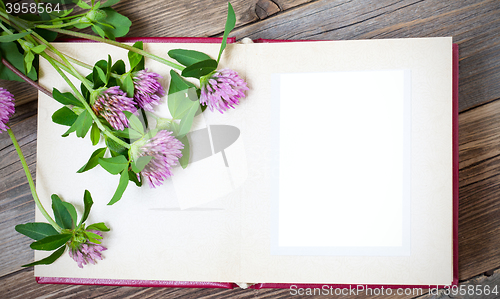 Image of blank page of the old album and flowers