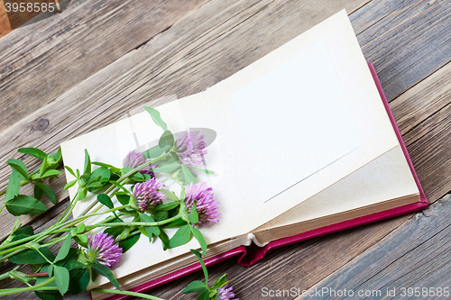 Image of album and clover flowers with copy space