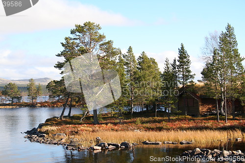 Image of By the lake