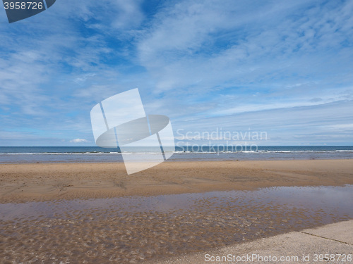 Image of Sea beach shore