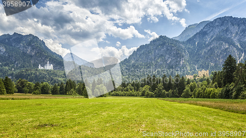 Image of Palace Neuschwanstein and Hohenschwangau