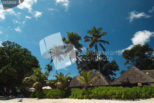 Image of Seaside hotel, palm -trees, sky