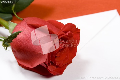 Image of red rose and envelope