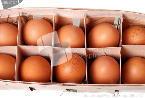 Image of Brown eggs in eco box