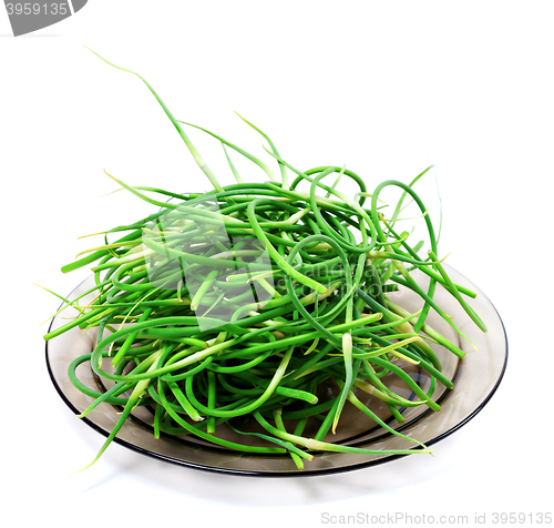Image of Fresh garlic scapes on glass plate