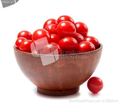 Image of Wet cherry tomato in ceramic bowl