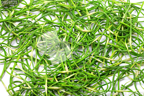 Image of Background of fresh garlic scape