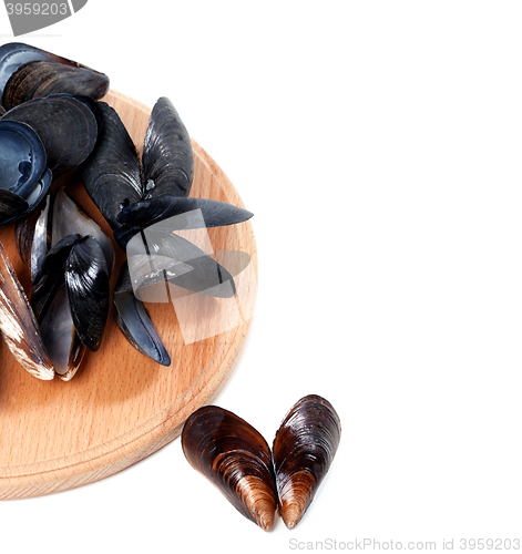 Image of Shells of mussels on cutting board