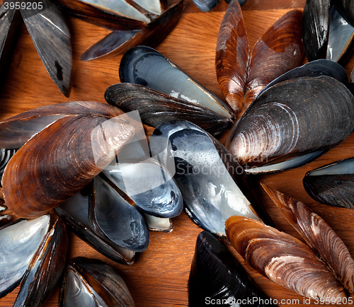 Image of Shells of mussels on kitchen board