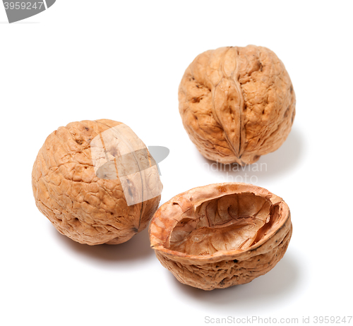 Image of Ripe walnuts on white