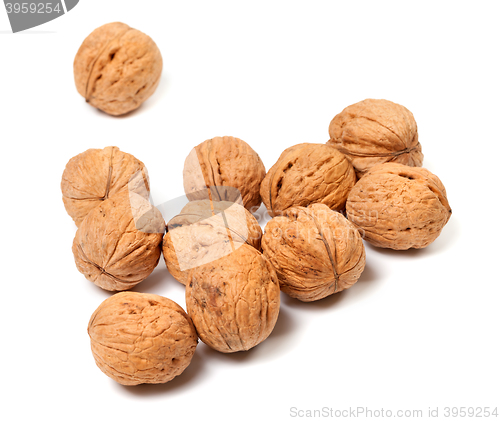 Image of Walnuts on white