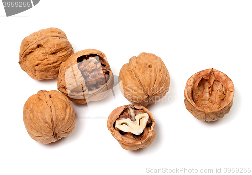 Image of Walnuts on white background