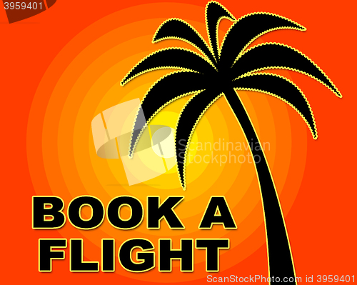 Image of Book Flight Indicates Flights Aeroplane And Ordered