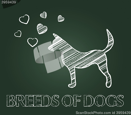 Image of Breeds Of Dogs Indicates Canine Reproduce And Pet