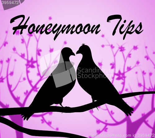 Image of Honeymoon Tips Means Vacational Destinations And Guidance