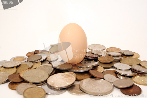 Image of Egg surrounded by coins