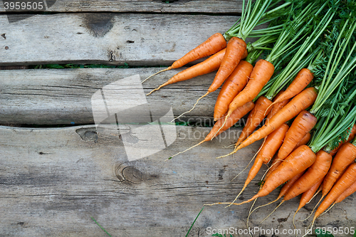 Image of Fresh carrots bunch on rustic wooden background