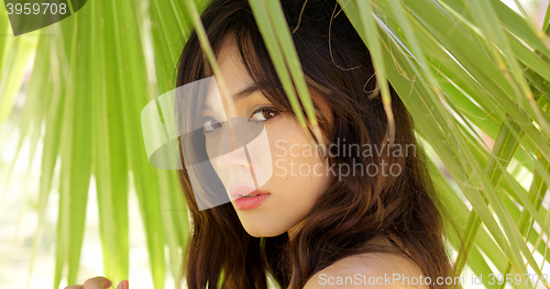Image of Calm young woman in shade of palm leaves
