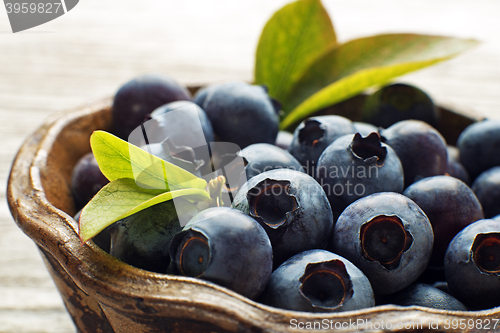 Image of Blueberry