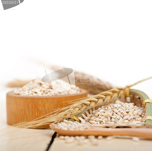 Image of organic wheat grains 