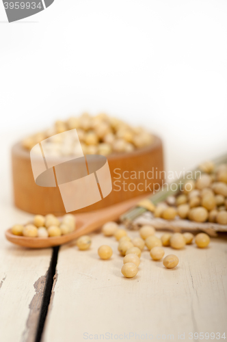 Image of organic soya beans 