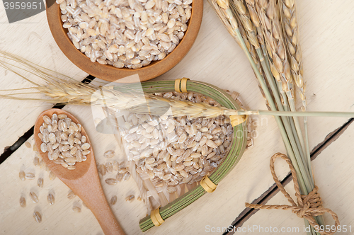 Image of organic barley grains