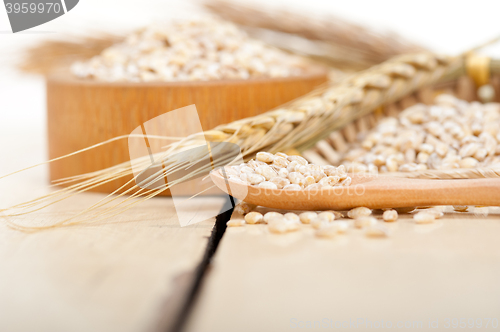 Image of organic wheat grains 