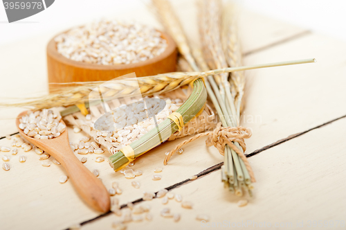 Image of organic barley grains