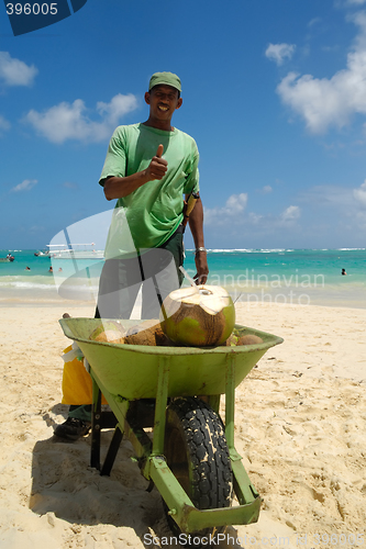 Image of Coconut salesman on beach