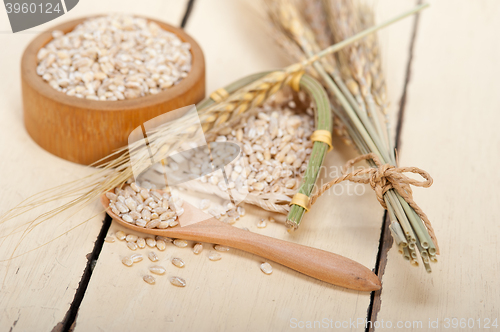Image of organic wheat grains 