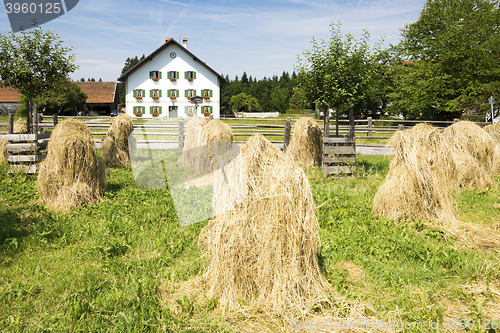 Image of grass and a house