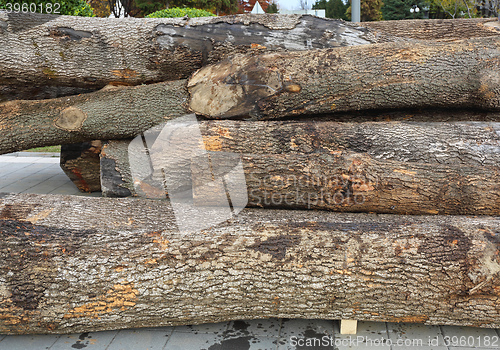 Image of Timber