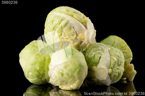 Image of Fresh brussels sprouts