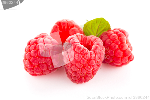 Image of Raspberry fruit isolated