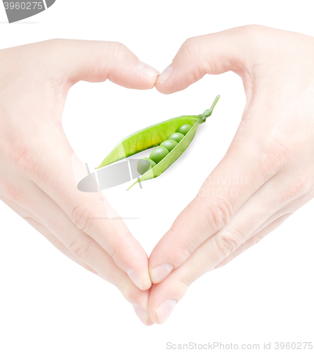 Image of Healthy eating